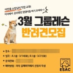 성추행 부인 이찬종, 반려견 클래스 공지→3시간 만 삭제…경솔 행동 질타 [엑s 이슈]