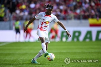 맨유도 김민재 발 빼나...아스널과 시마칸 영입 경쟁 '본격화'