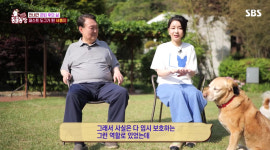 尹부부, 동물농장 깜짝 출연…아이 유산 후 반려견 입양, 고통 잊더라 [종합]