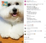 펫대로하우스 박명수-치타-설인아, SNS 통해 반려동물 자랑하는 팔불출 스타들