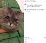 펫대로하우스 박명수-치타-설인아, SNS 통해 반려동물 자랑하는 팔불출 스타들