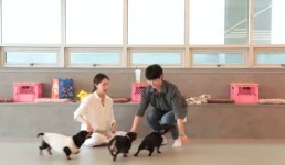 1기 정식, 개엄마 현숙 강아지들에 물리고 영혼 탈주 (나솔사계)