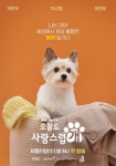 박규영, 차은우와 키스하고 강아지 됐나 개조심 주의 (오늘도사랑스럽개)