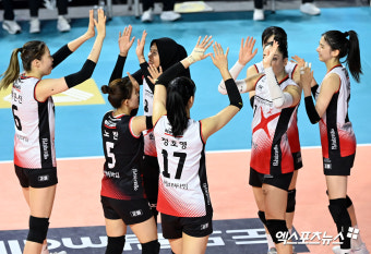 '메가 31득점' 정관장, 적지서 흥국생명에 3-2 역전승…홈팀 4연승 저지 [삼산:스코어]