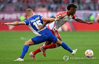 '10연속 풀타임' 김민재+'해트트릭' 케인...뮌헨, 다름슈타트전 8-0 대승→리그 '선두 탈환' [분데스 리뷰]