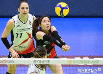 노란 집중해서[포토]