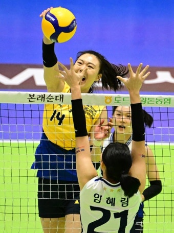 '모마+양효진 34점 합작' 현대건설, IBK '3-0' 완파...2위 GS와 승점 차 없앴다 [수원:스코어]