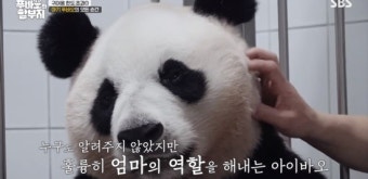 강철원 사육사 