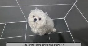 구성환 '꽃분이 관리' 불편해? 