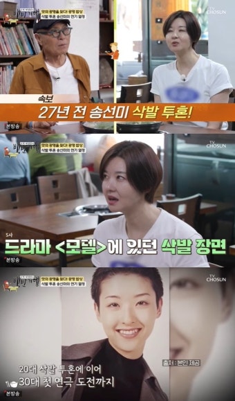 송선미 