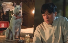 정관수술 정상훈·중성화수술 백구, ‘동병상련’ 투샷 (나는 돈가스가 싫어요)