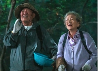 김영옥·박인환 노부부, 산에 고립…고사리 따러 갔다 봉변 (다리미 패밀리)