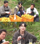 승부욕 甲 민호, 키와 신경전… 김기범 웬일이야 (대장이 반찬)