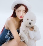 강남 벤츠 음주운전 DJ예송, 국위선양 선처 호소했지만…징역 8년 확정