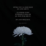 김선빈 슬픈 인사 