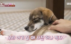 김재우♥조유리, 새 가족에 심쿵...만난 순간부터 운명 (동물농장)