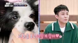 은지원, 안타까운 교통사고에 눈물까지 (동물은 훌륭하다)