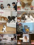 전진♥류이서, 열악한 견사→안락사 기다리던 만세 과거에 눈물 펑펑 6.3% (동물농장)[종합]