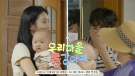 8년 지기 김도훈 vs 신예은, 염포마을 최애 손주 놓고 맞대결 (똥강아지)