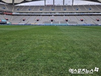 긴급 복구 상암벌 잔디 정상화 성공? 파인 곳 없고 빽빽…관건은 추운 날씨 [현장메모]