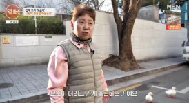 서울 한복판서 오리 등장…할머니와 출근→신호등 앞 멈춤까지 깜짝 (특종세상)