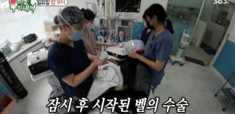 배정남, 반려견 벨 '악성종양' 충격…전신마비 극복 후 또 시련 (미우새)