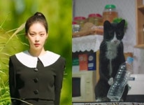 사람이야 고양이야, 미친 싱크로율에…반려인, 천국에서 폭풍 눈물 [엑s 이슈]