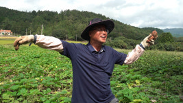 30년 영어 강의→성공 직후 공황장애…60세에 귀향, ♥아내 노심초사 (인간극장)