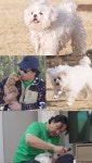'건물주' 구성환, 확 달라진 옥상…핑크빛 '벽화 마을' 변신 (나혼산)