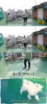 구성환, 누수 심했는데…대형 꽃분이+핑크빛 옥상으로 재탄생 
