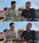 봄동비빔밥 원조 강호동, 18년만 유행 선도했는데…사실 얼갈이배추 충격 반전 [엑s 이슈]