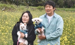 기안84, 어머니에 제주 집 선물하더니…귤밭 노동까지 효심 (나혼산)