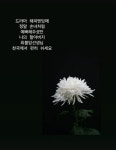 소유진, 14년 전 드라마 인연 故최불암 추모…