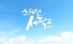 드라마 스웨덴 세탁소 11월 말 론칭, 막돼먹은 영애씨 세친구 정환석 감독 신작