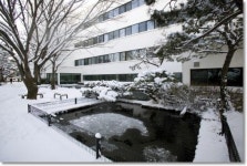 실검보고서, 상산고등학교, 수학의 정석 홍성대가 설립한 학교