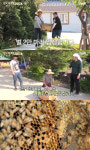 삼시세끼 새식구 합류, 이서진 양봉이야? 또 가지고 왔어