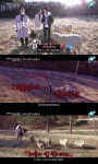 꽃브로 육성재, 비글미 폭발...양 떼에 달려들며 하하하하