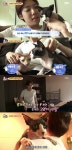 위너 김진우 알레르기 약 먹으며 고양이 양육