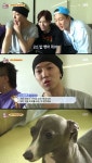 동물농장 위너, 집에선 개아빠·고양이집사 치유 받는 느낌