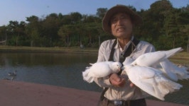 ‘세상에 이런 일이’ 야생 새들의 아빠, 어떤 사연일까