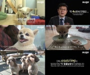 ‘동물농장’ 장수견 비밀 공개…24세 반려견 등장