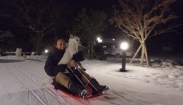 노천탕부터 썰매까지…‘효리네민박2’ 특급 서비스 개시