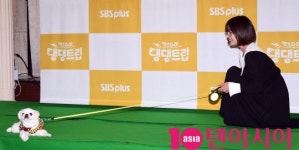 ‘댕댕트립’ 문정희X강예원X로버트 할리, 반려견과의 여행...“어렵지 않아요” (종합)