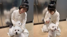 ‘김사부2’ 소주연, 강아지 두 마리와 행복한 일상···윤보라 “우리 아가들♥”
