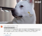 TV동물농장, 장애견 왜곡 방송에 사과 더 노력하고 주의하겠다