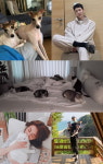 폰클렌징 조권, 닮은꼴 강아지 사진 공개 개아빠
