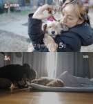 이상순♥ 이효리 부풀어져 있던 삶, 순심이 만나며 사랑만 남아 (동물농장)