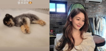 '쌍둥이 임신' 성유리, 인형같은 반려견 제일 쪼꼬미...사랑스러워라[TEN]
