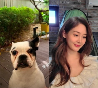 성유리, 반려견과 마당이 있는 삶…