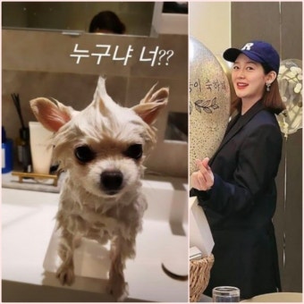 '쌍둥이 임신中' 성유리, 반려견 케어 살뜰…